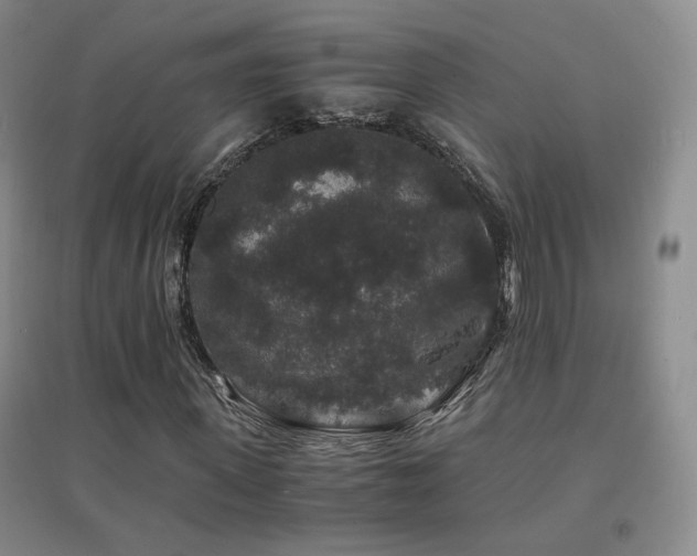 X0000094430915200711081222