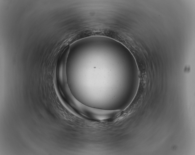 X0000094430916200711081222