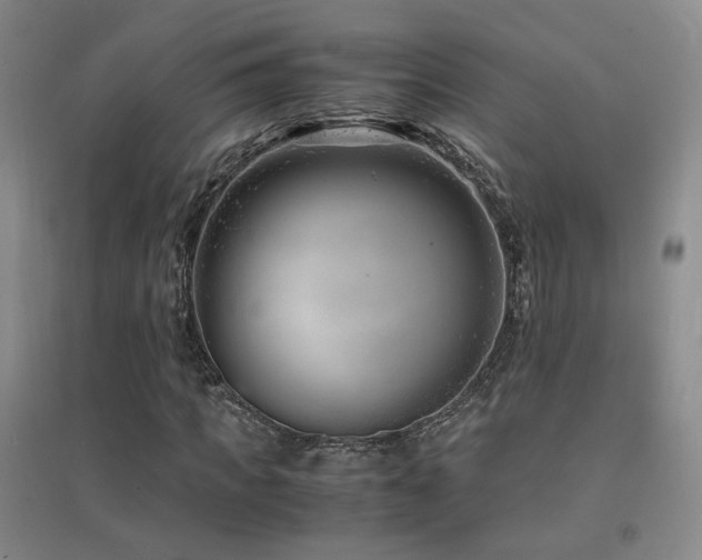 X0000094430917200711081222