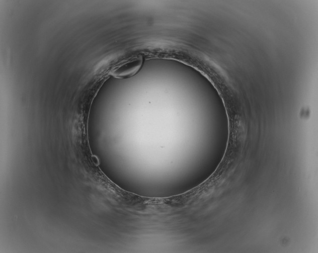 X0000094430918200711081222