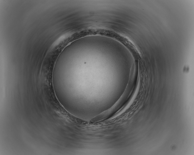 X0000094430919200711081222