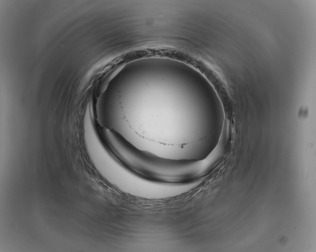 X0000094430920200711081222