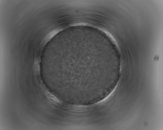 X0000094430921200711081222