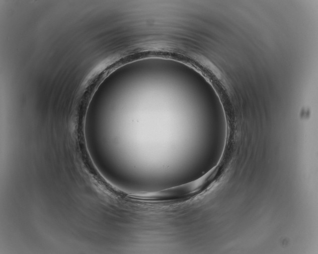 X0000094430922200711081222