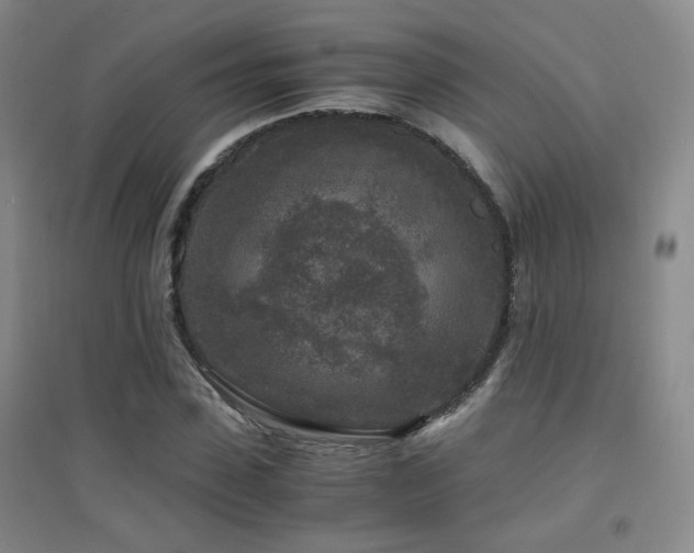 X0000094430923200711081222