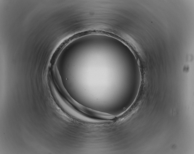 X0000094430924200711081222