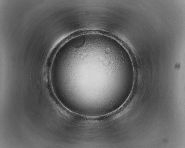 X0000094430925200711081222