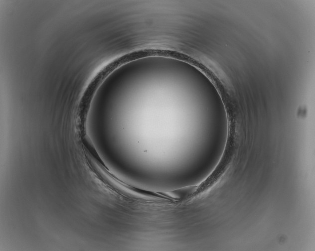X0000094430926200711081222