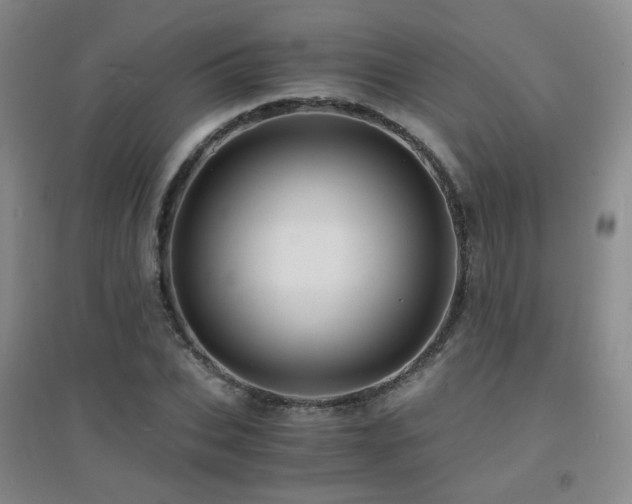 X0000094430927200711081222