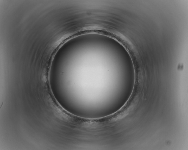 X0000094430929200711081222