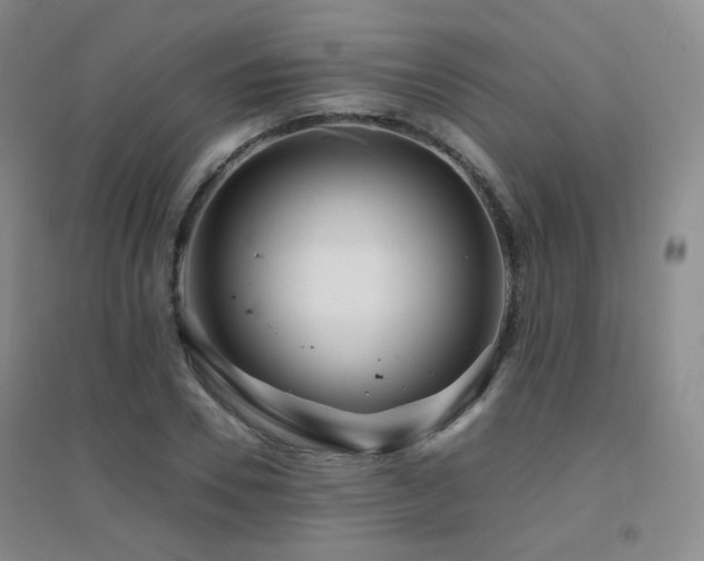 X0000094430930200711081222
