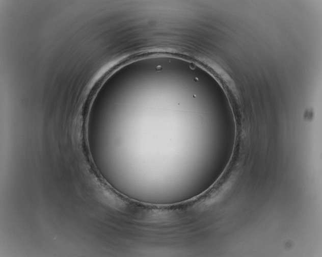X0000094430933200711081222