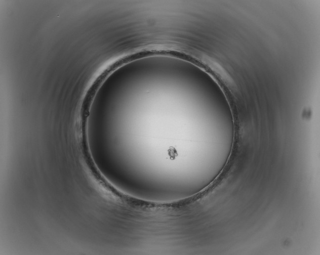 X0000094430934200711081222