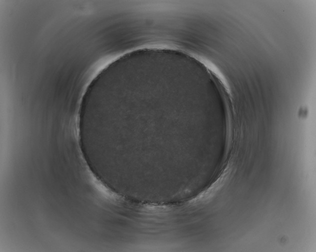 X0000094430935200711081222