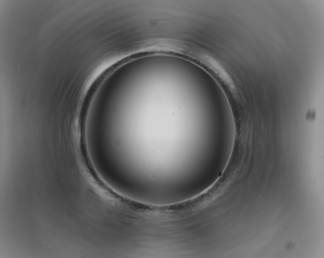 X0000094430936200711081222