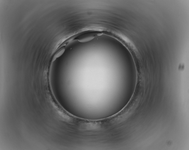 X0000094430937200711081222