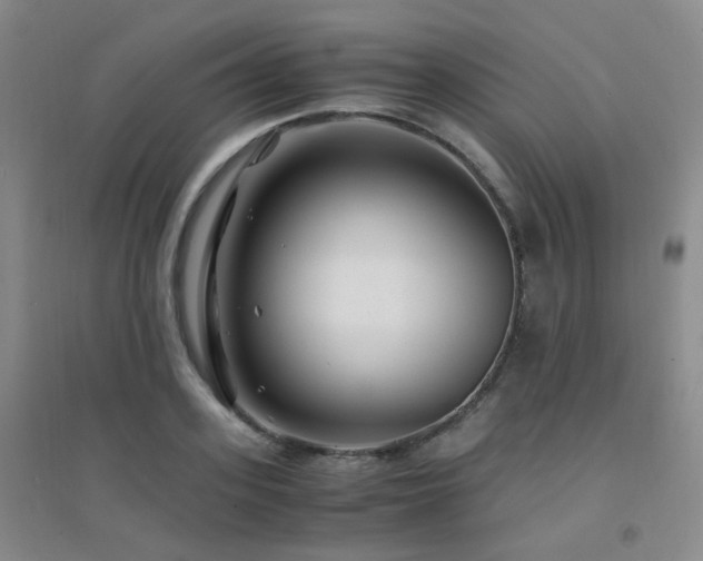 X0000094430939200711081222