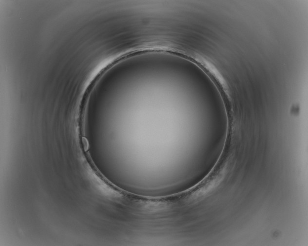X0000094430941200711081222