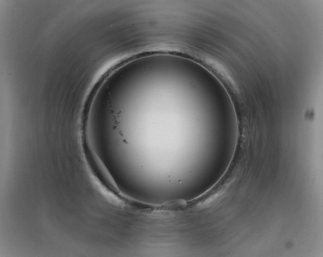 X0000094430942200711081222