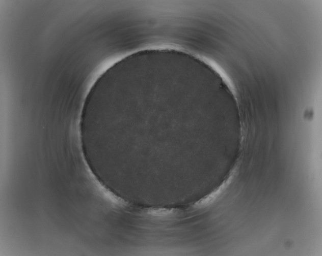 X0000094430943200711081222