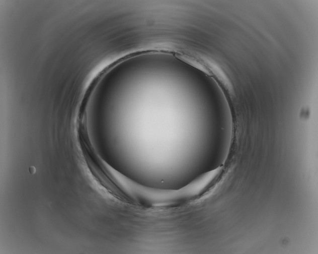 X0000094430944200711081222