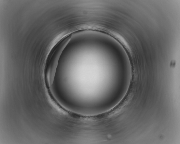 X0000094430946200711081222