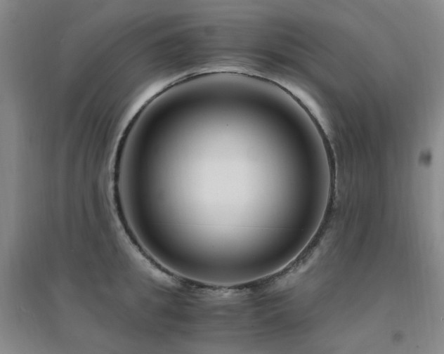 X0000094430949200711081223