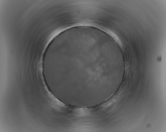 X0000094430950200711081223