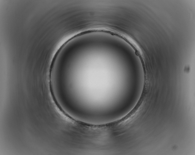 X0000094430951200711081223