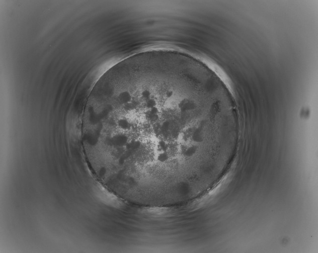X0000094430953200711081223