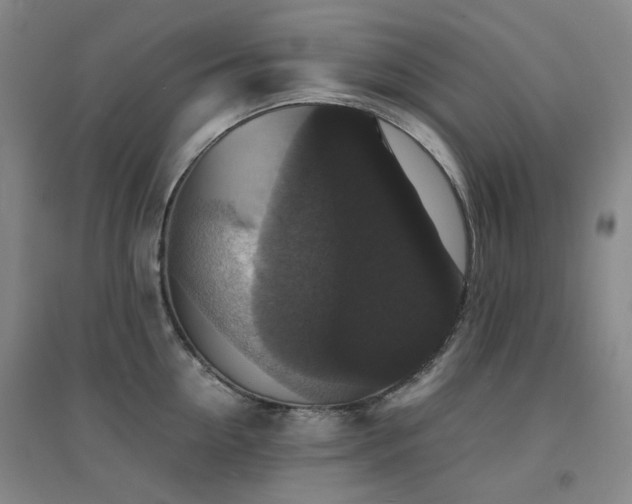 X0000094430954200711081223