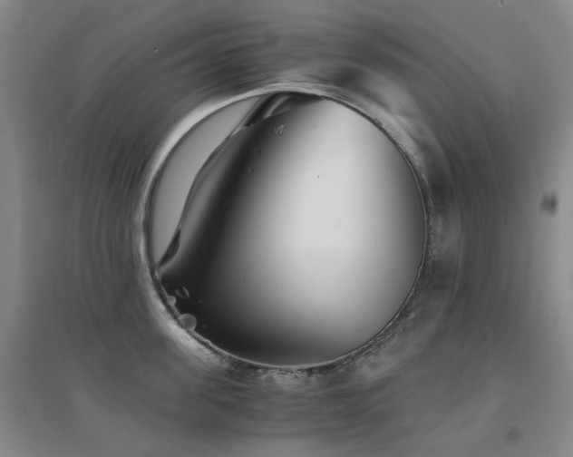 X0000094430955200711081223