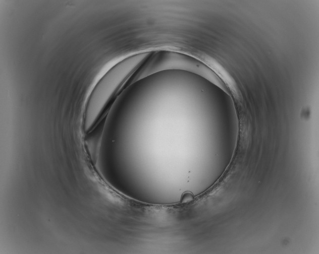 X0000094430956200711081223