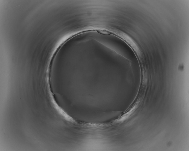 X0000094430958200711081223