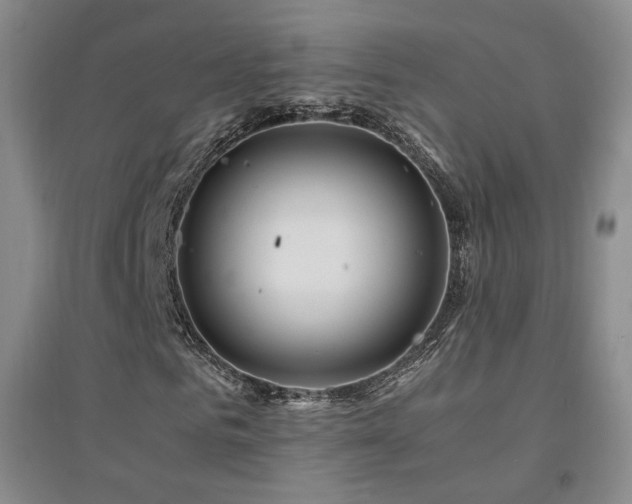 X0000094430961200711081222