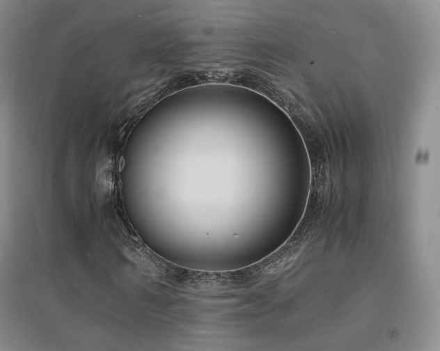 X0000094430962200711081222