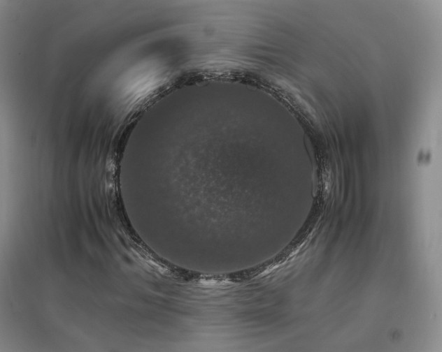 X0000094430964200711081222