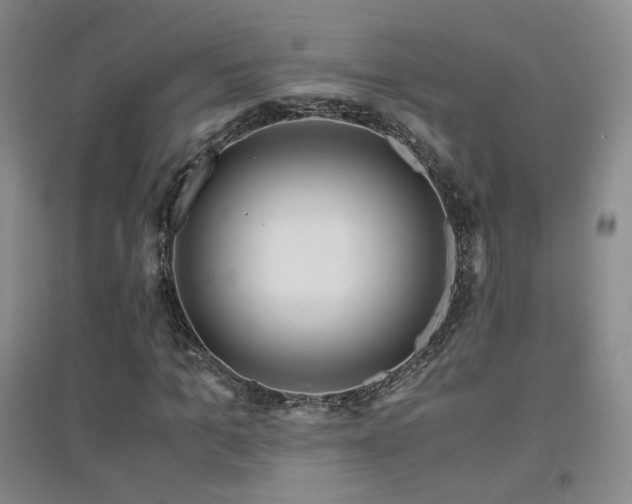 X0000094430965200711081222