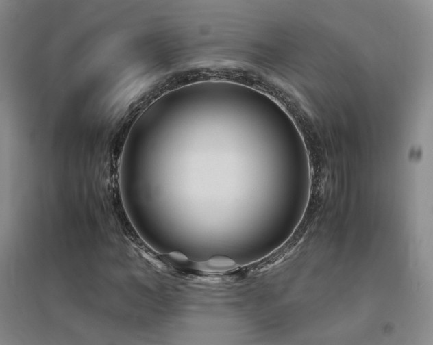 X0000094430966200711081222