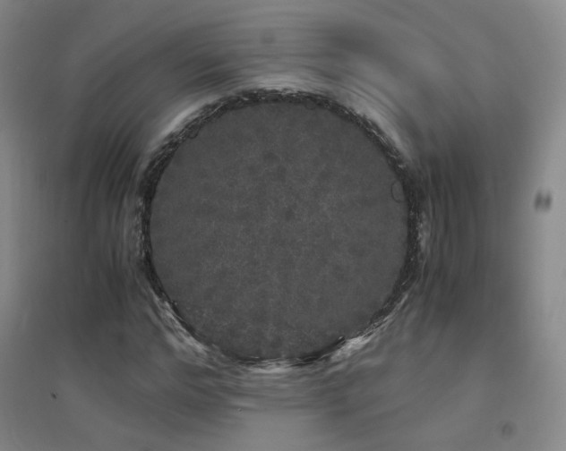 X0000094430968200711081222