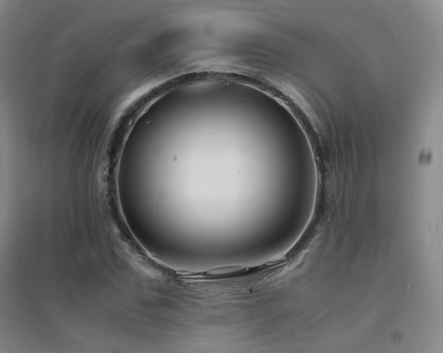 X0000094430971200711081222