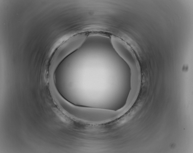 X0000094430973200711081222