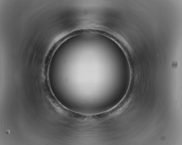 X0000094430974200711081222