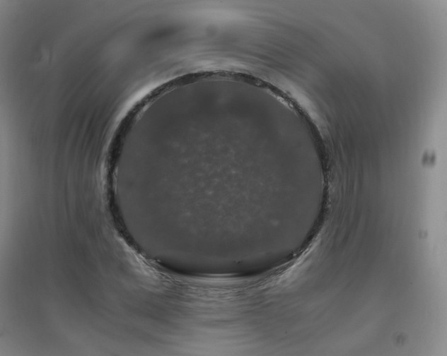X0000094430975200711081222