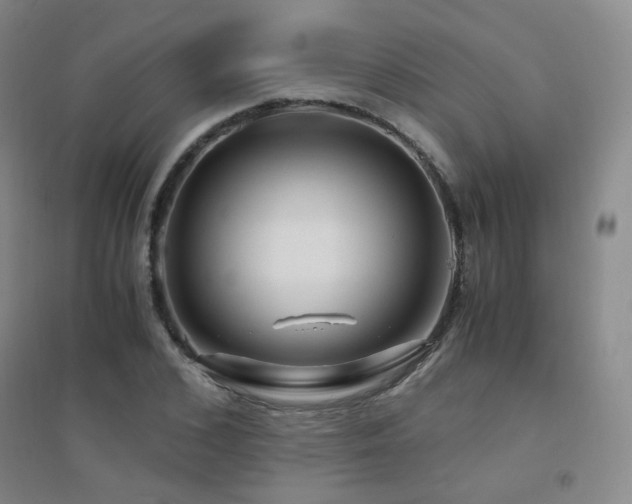 X0000094430976200711081222