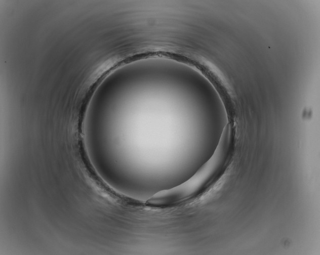 X0000094430977200711081222