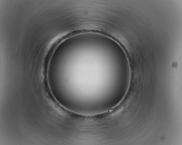 X0000094430979200711081222