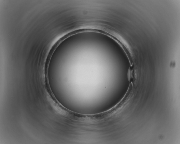 X0000094430980200711081222