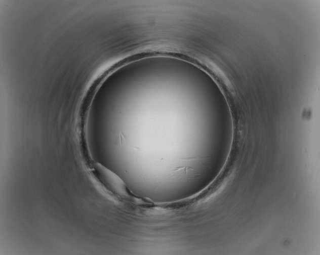 X0000094430981200711081222