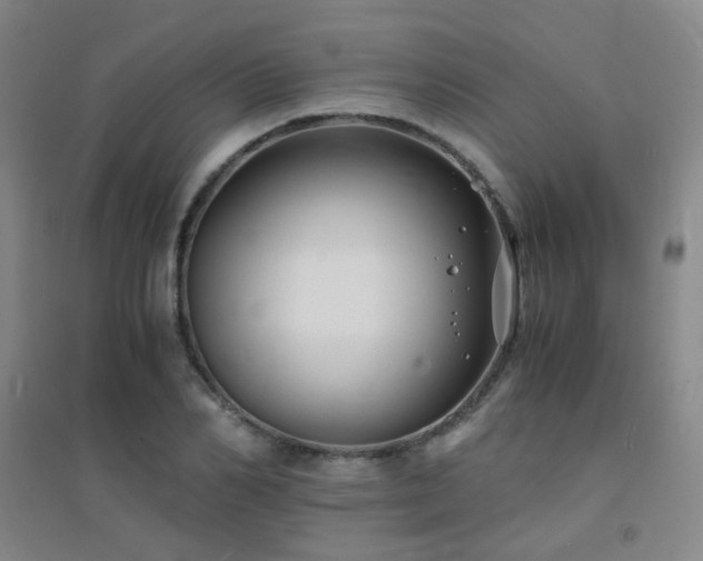 X0000094430982200711081222